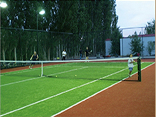 QSTY-0425操場圍網