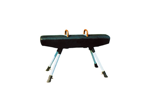 QSTY-0393普通鞍馬