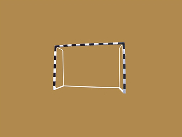 QSTY-0273比賽球用手球門