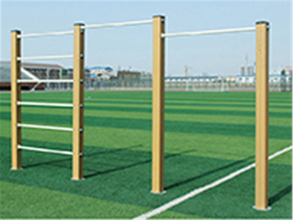 QSTY-0268肋木高低雙杠組合